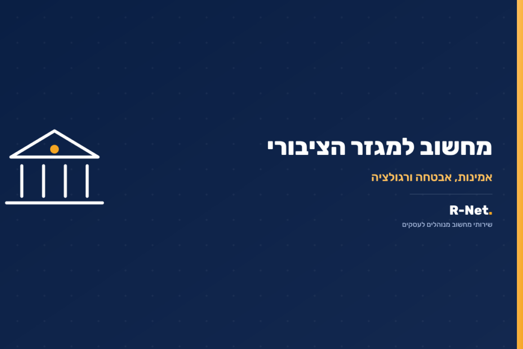 שירותי מחשוב למגזר הציבורי